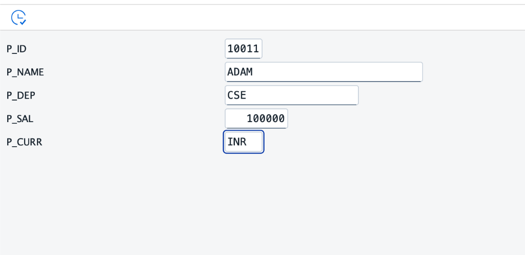 SAP GUI Parameter Selection Screen